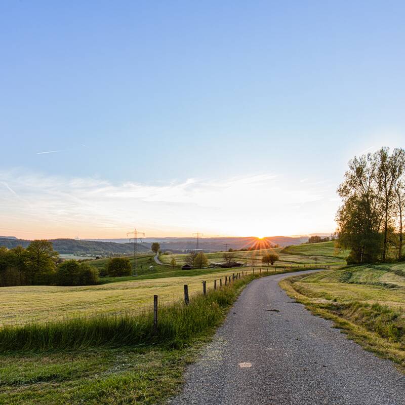 Das Bild zeigt eine ruhige ländliche Landschaft bei Sonnenuntergang. Eine schmale, Schotter-Straße schlängelt sich durch die Szene, flankiert von üppigem grünen Gras und einem Holzzaun auf der linken Seite. Rechts von der Straße steht eine Reihe von Bäumen, und sanfte Hügel erstrecken sich in die Ferne unter einem weiten Himmel mit wenigen Wolken. Die Sonne steht tief am Horizont und wirft ein warmes, goldenes Licht über die Landschaft, was lange Schatten erzeugt und die Ruhe dieser ländlichen Umgebung hervorhebt.
