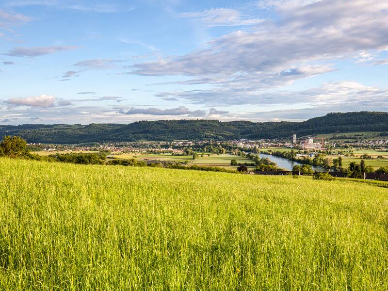 Blick auf Küssaberg und den Rhein von einem Hügel herab, mit einer grünen Wiese im Vordergrund.