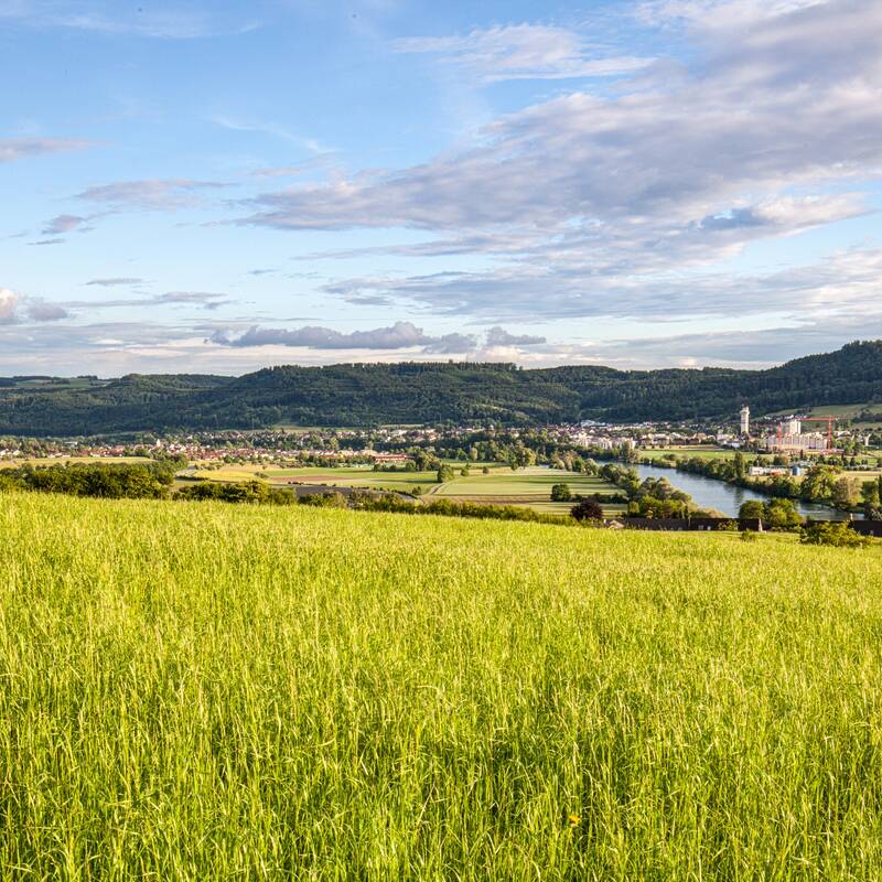 Blick auf Küssaberg und den Rhein von einem Hügel herab, mit einer grünen Wiese im Vordergrund.