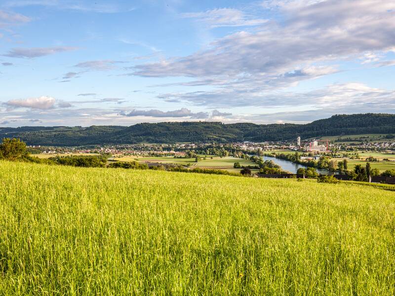 Ein grünes Feld im Vordergrund mit einem Blick auf eine Flusslandschaft und eine Stadt mit sichtbaren Gebäuden im Hintergrund, überspannt von einem leicht bewölkten Himmel.
