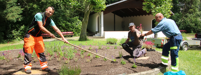 Zwei Männer und eine Frau arbeiten in einem Gartenbeet, und pflanzen und pflegen Blumen in einer parkähnlichen Umgebung.
