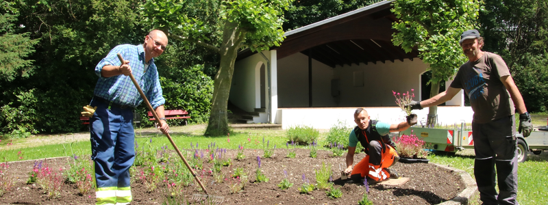 Zwei Männer und eine Frau arbeiten in einem Gartenbeet, und pflanzen und pflegen Blumen in einer parkähnlichen Umgebung.