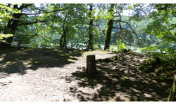 Ein sonnenbeschienener Waldweg mit einem Baumstumpf führt zu einer Lichtung, umgeben von dichten, grünen Bäumen.