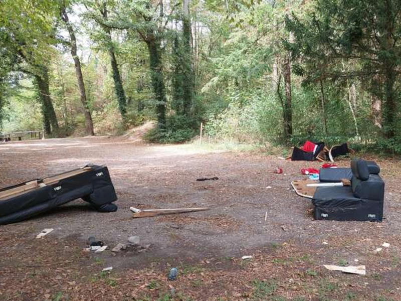 Auf einer Waldlichtung liegen verstreut mehrere weggeworfene Möbelstücke und Abfall.